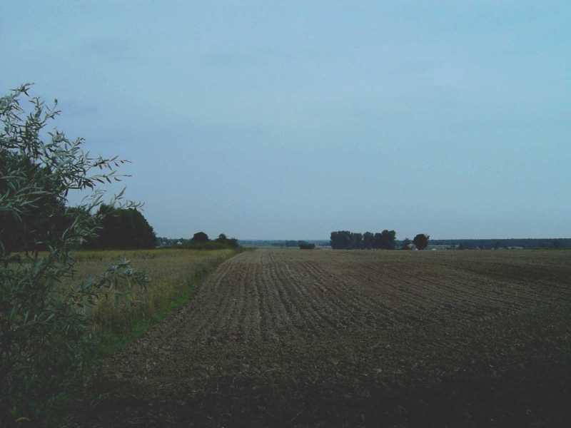 Polish countryside